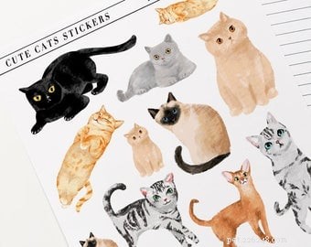 Premium Cat-Themed Planner Stickers – Stylish & Functional for Cat Enthusiasts