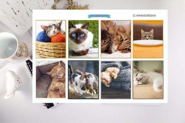 Premium Cat-Themed Planner Stickers – Stylish & Functional for Cat Enthusiasts