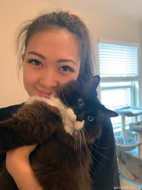 Meet Big Mac: Our Adopted Rescue Cat & Floppycat of the Week