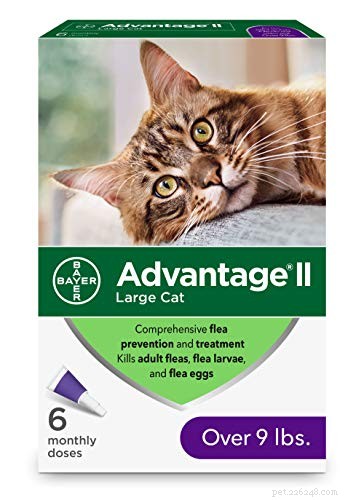 Top Proven Cat Flea Treatments: Prevention & Relief for Your Pet