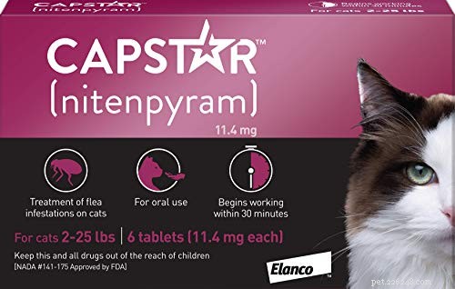 Top Proven Cat Flea Treatments: Prevention & Relief for Your Pet
