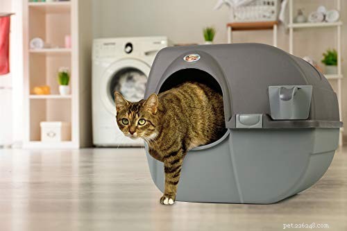 Circle Litter Box: Comprehensive Guide & Expert Review