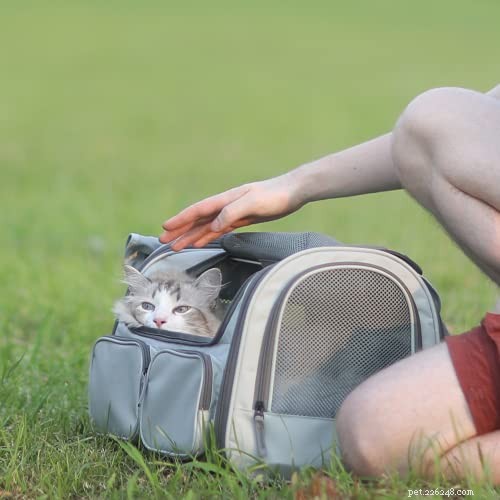 September 2021 Giveaway: Win a FUKUMARU Cat Carrier