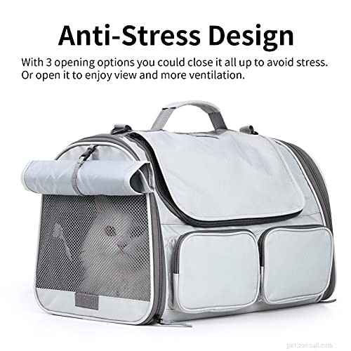 September 2021 Giveaway: Win a FUKUMARU Cat Carrier