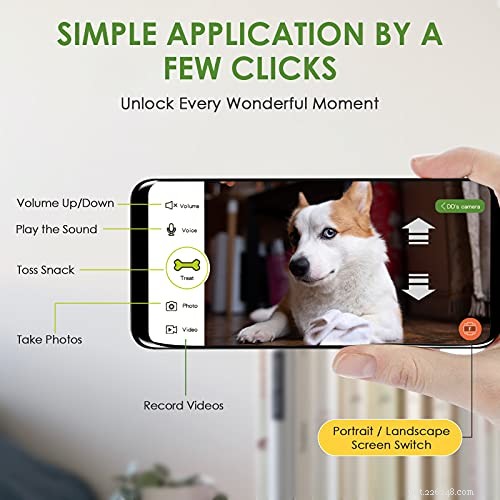 Smart Remote Cat Treat Dispenser – Reward & Connect From Anywhere