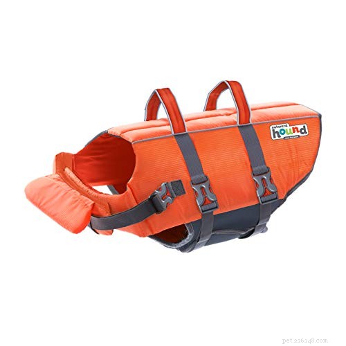 Secure Your Cat: The Ultimate Guide to Cat Life Jackets