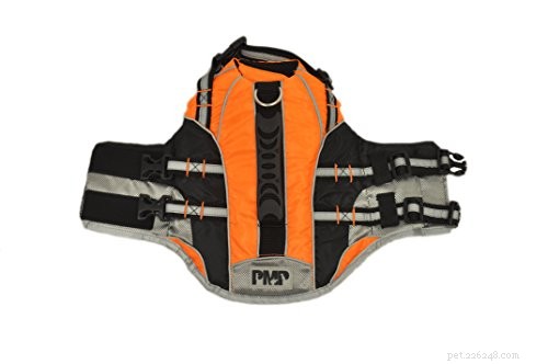 Secure Your Cat: The Ultimate Guide to Cat Life Jackets