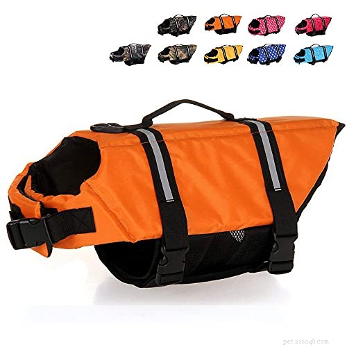 Secure Your Cat: The Ultimate Guide to Cat Life Jackets