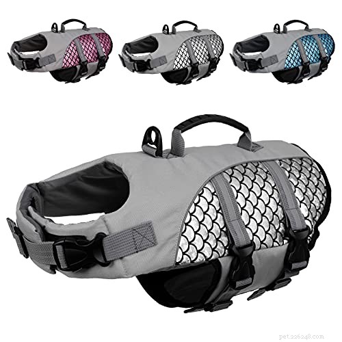 Secure Your Cat: The Ultimate Guide to Cat Life Jackets