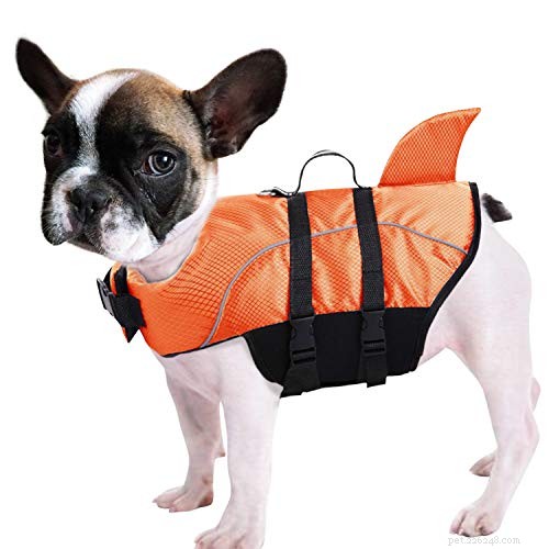 Secure Your Cat: The Ultimate Guide to Cat Life Jackets