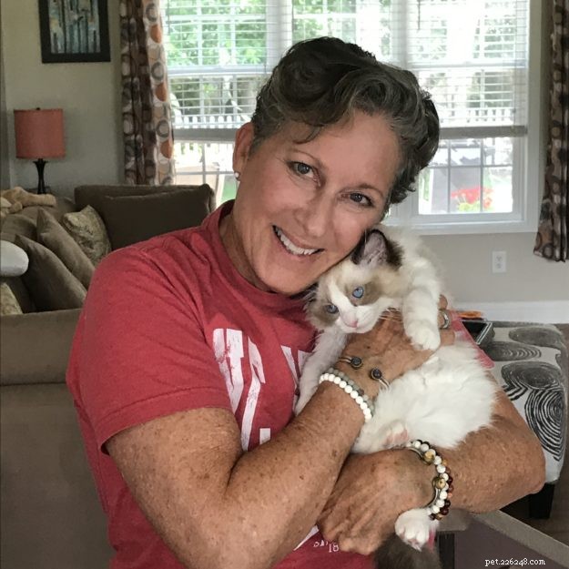 Occhi: Ragdoll Kitten of the Month – A Heartwarming Tale