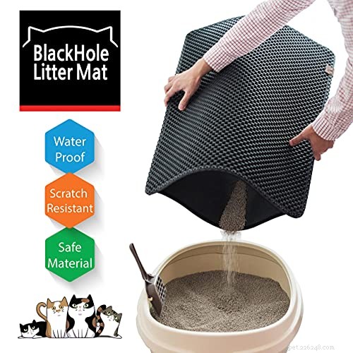 Discover Why an XL Stainless Steel Litter Box Is the Ideal Choice for Your Cat
