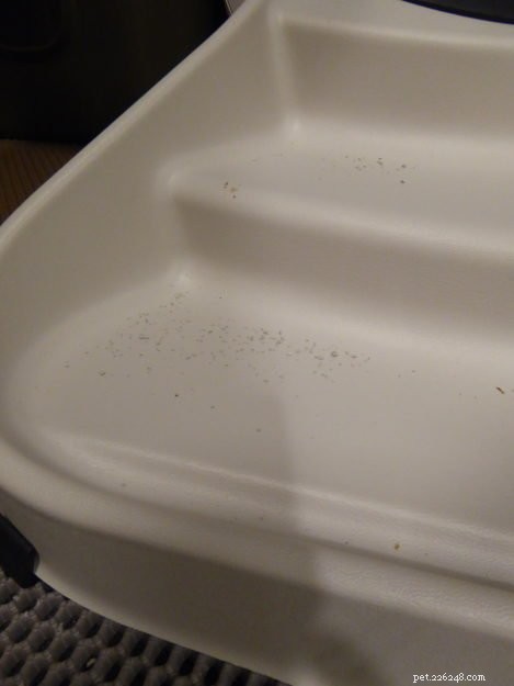 Discover the Ideal Round Self‑Cleaning Litter Box with Step Ramp – The Litter‑Robot 3