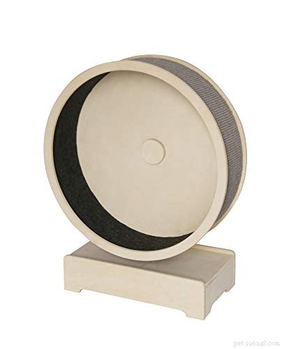 Top 6 Cat Exercise Wheels for Active, Happy Pets
