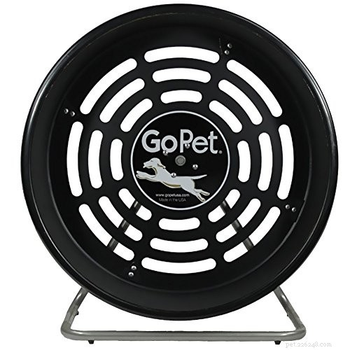 Top 6 Cat Exercise Wheels for Active, Happy Pets