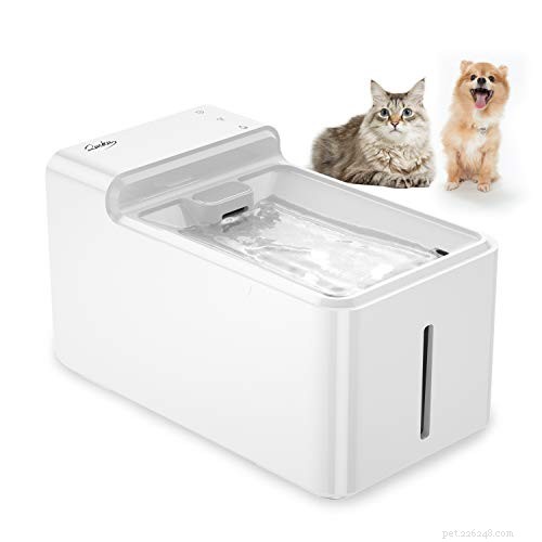 Quiet Cat Water Fountain – The Quietest Choice for Healthy Hydration