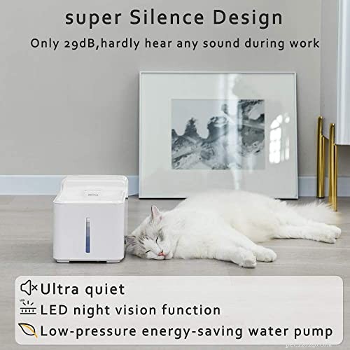 Quiet Cat Water Fountain – The Quietest Choice for Healthy Hydration