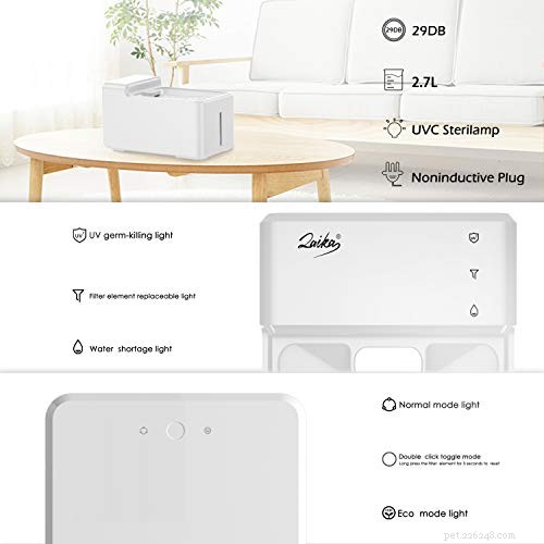 Quiet Cat Water Fountain – The Quietest Choice for Healthy Hydration