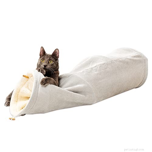 8 Delicious Cat Birthday Treats to Celebrate Your Feline Friend