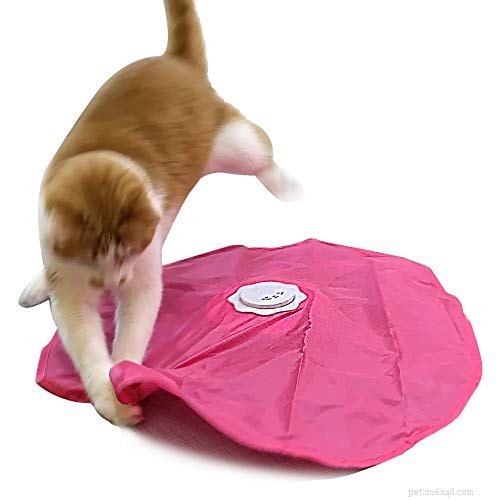 8 Delicious Cat Birthday Treats to Celebrate Your Feline Friend