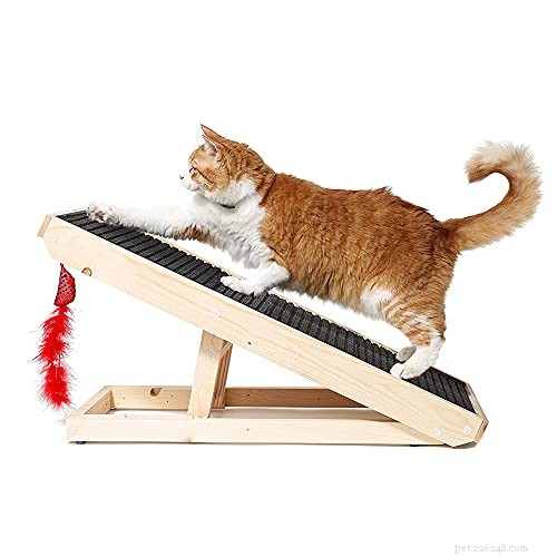 Top Cat Toys & Products 2022: Trusted Picks for Every Feline