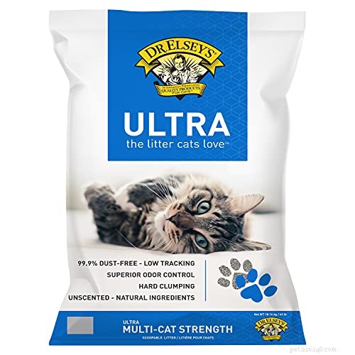 Top Cat Toys & Products 2022: Trusted Picks for Every Feline