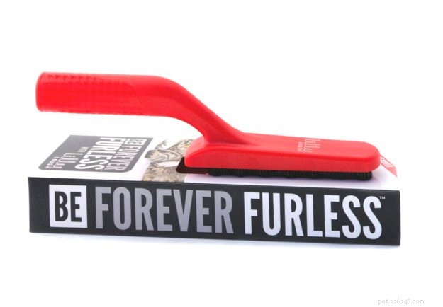 Top Cat Toys & Products 2022: Trusted Picks for Every Feline