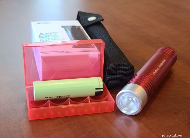 Red Light Therapy for Cats: Boost Health & Wellness