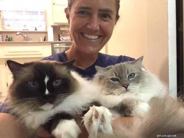 Celebrating Thanksgiving: Gratitude, Family, and the Love of Cats