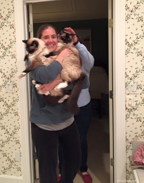 Celebrating Thanksgiving: Gratitude, Family, and the Love of Cats