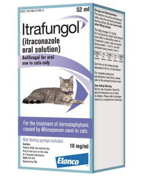 Effective Ringworm Treatment for Cats: A Trusted Veterinary Guide