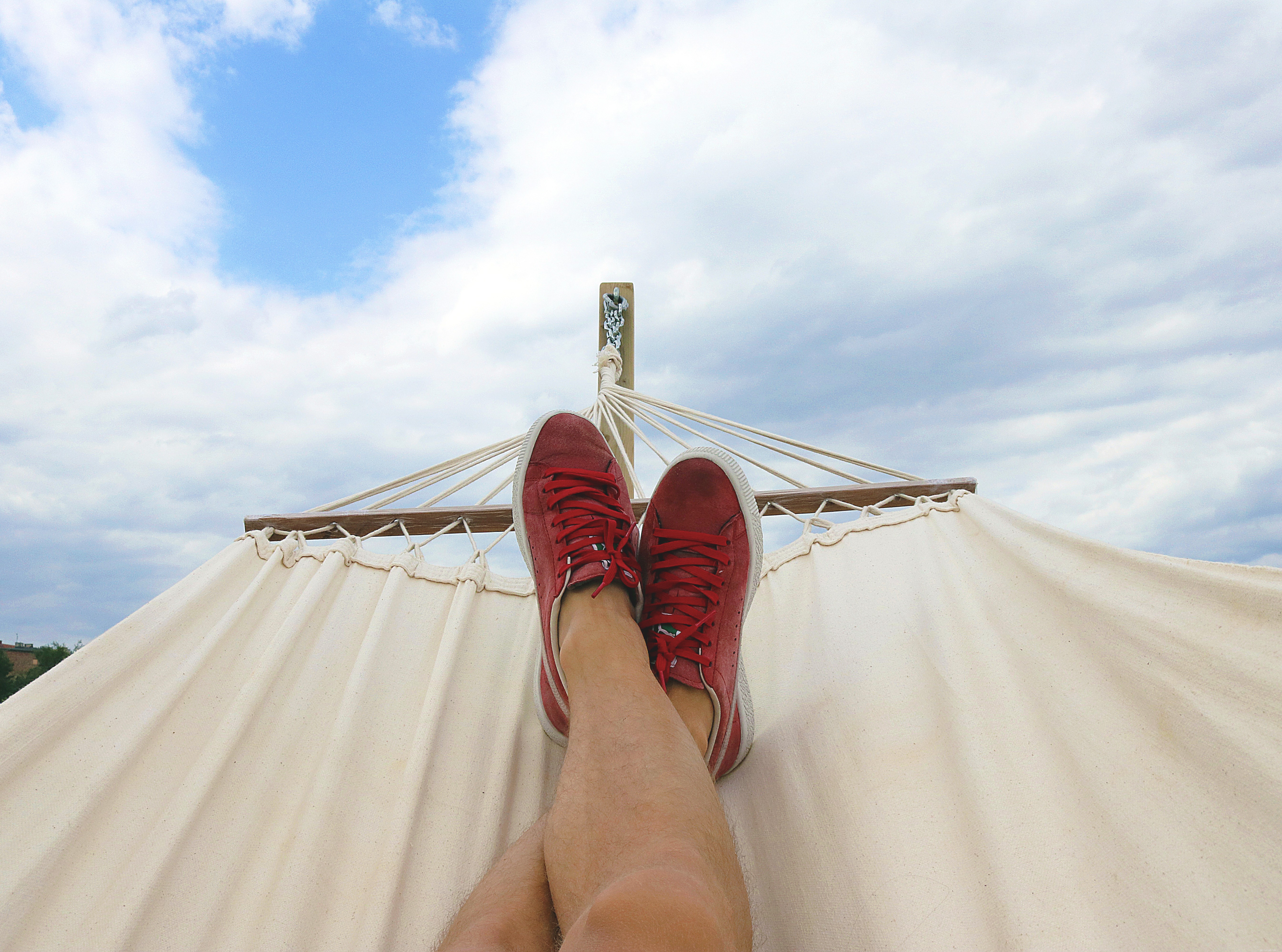 Bringing Your Cat on Vacation: A Guide to a Stress‑Free Trip