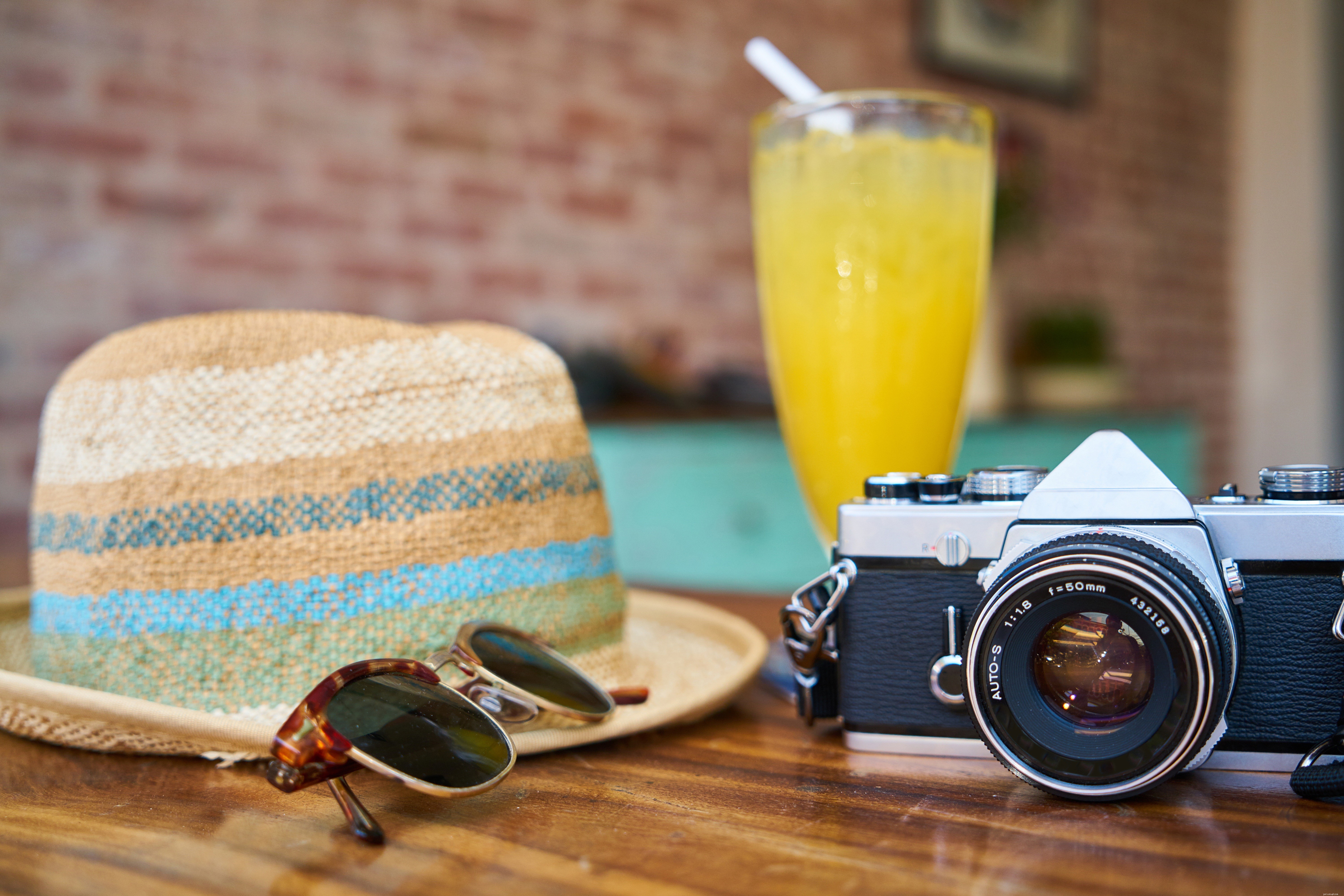 Bringing Your Cat on Vacation: A Guide to a Stress‑Free Trip