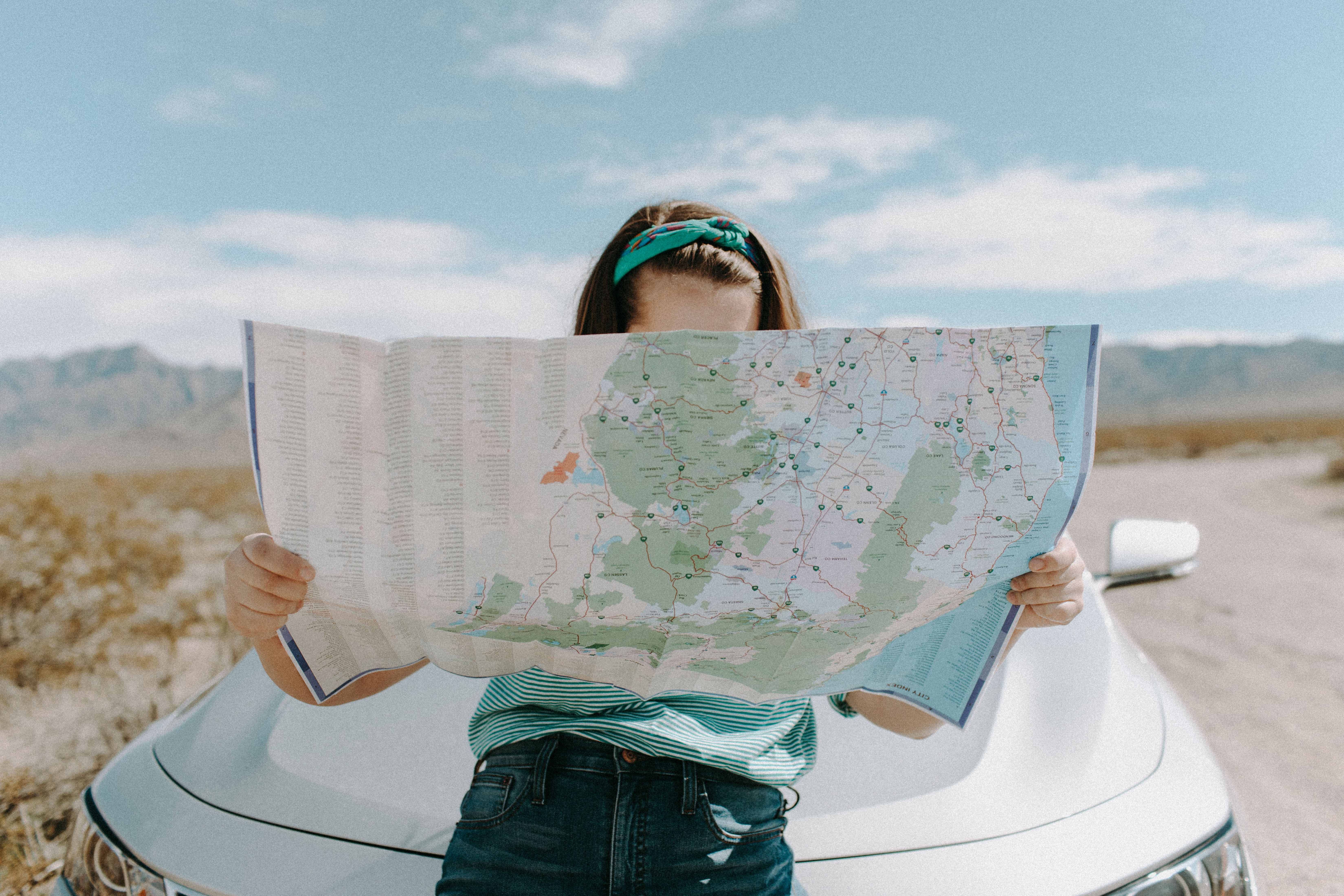 Traveling with Your Cat: Tips for a Stress‑Free Journey