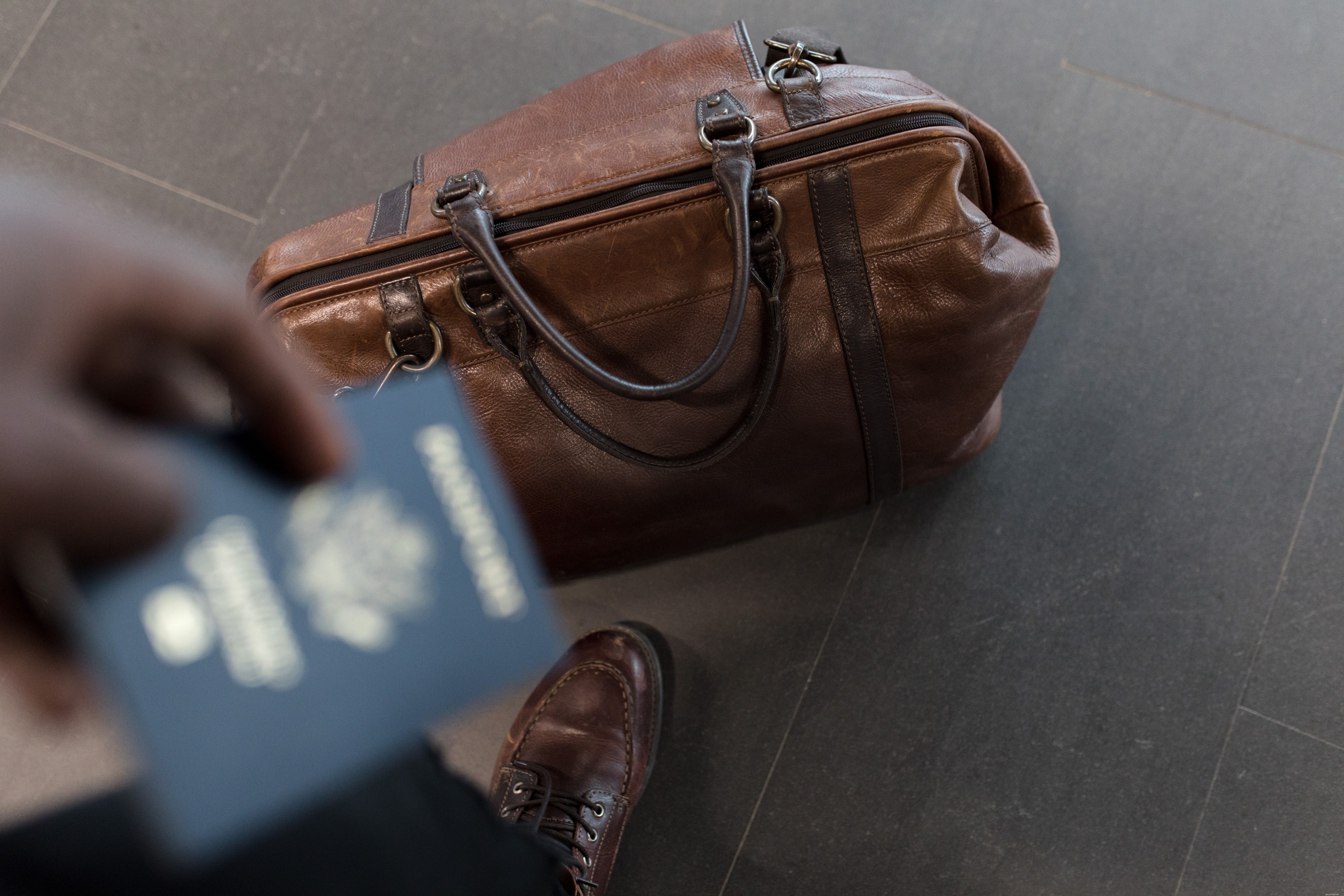 Traveling with Your Cat: Tips for a Stress‑Free Journey