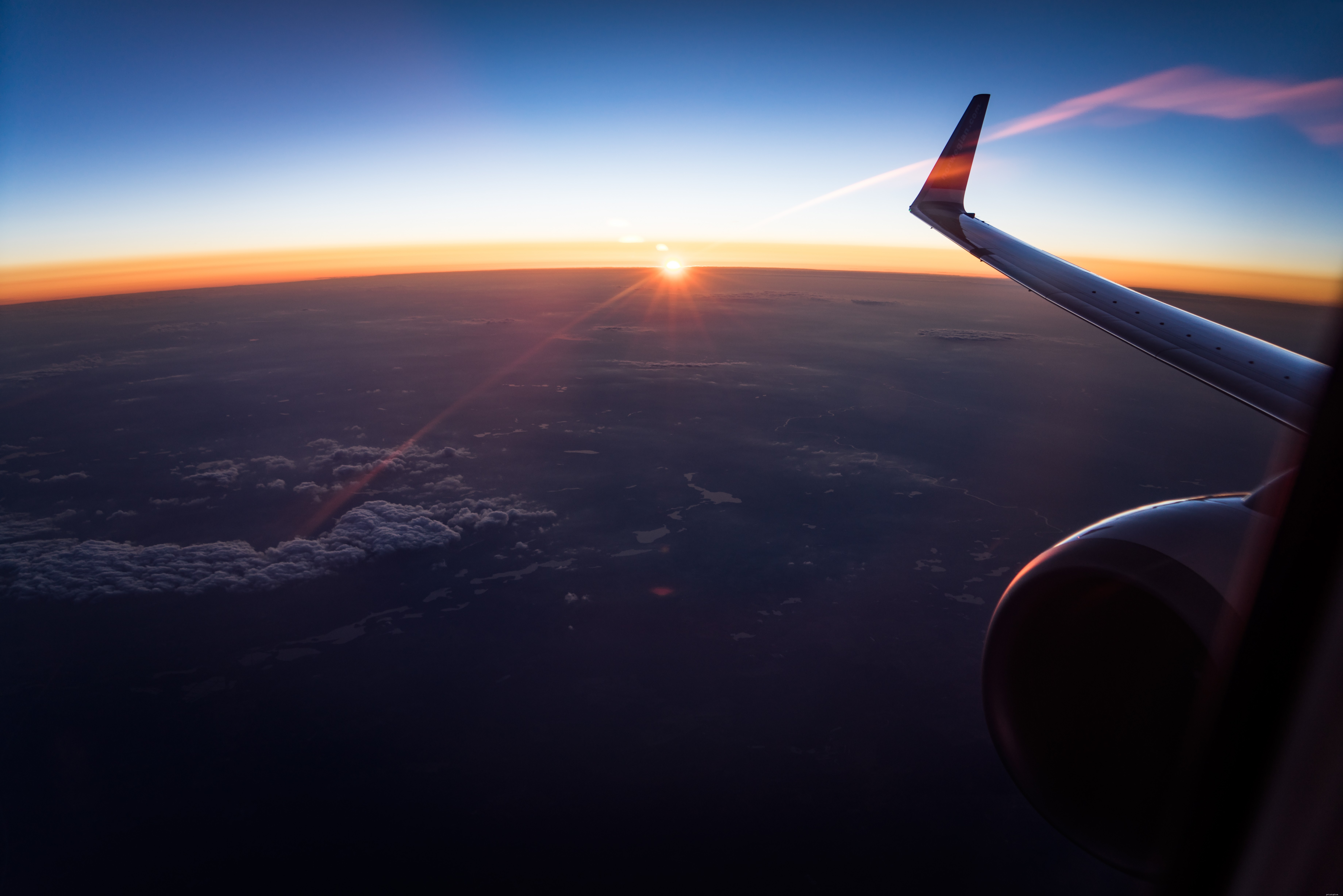 Traveling with Your Cat: Tips for a Stress‑Free Journey