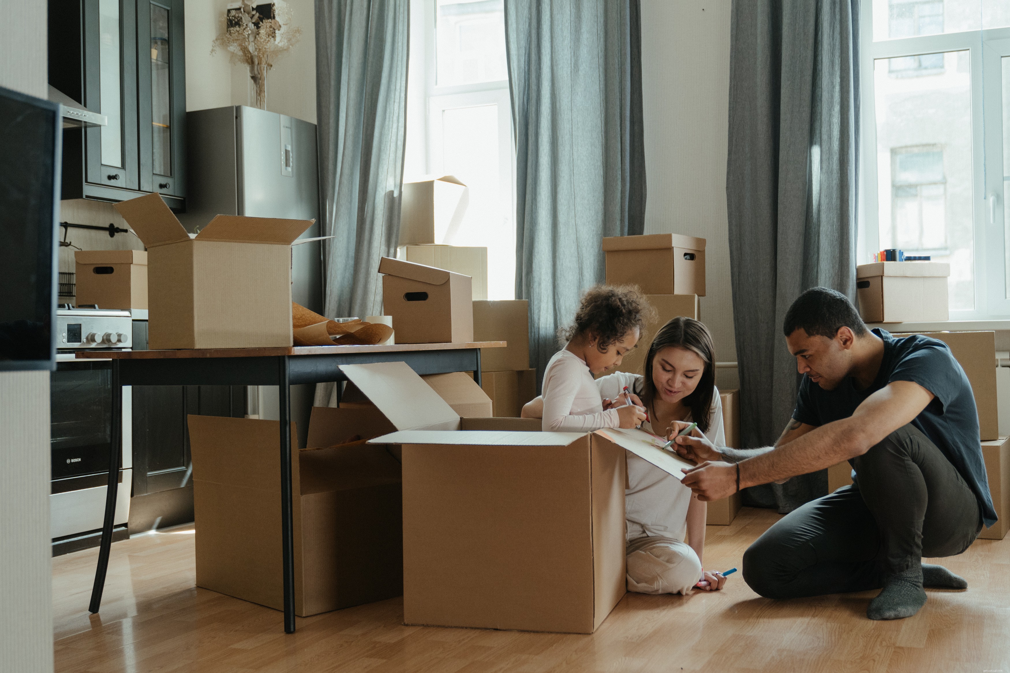 Moving with Your Cat: Expert Tips for a Calm Transition