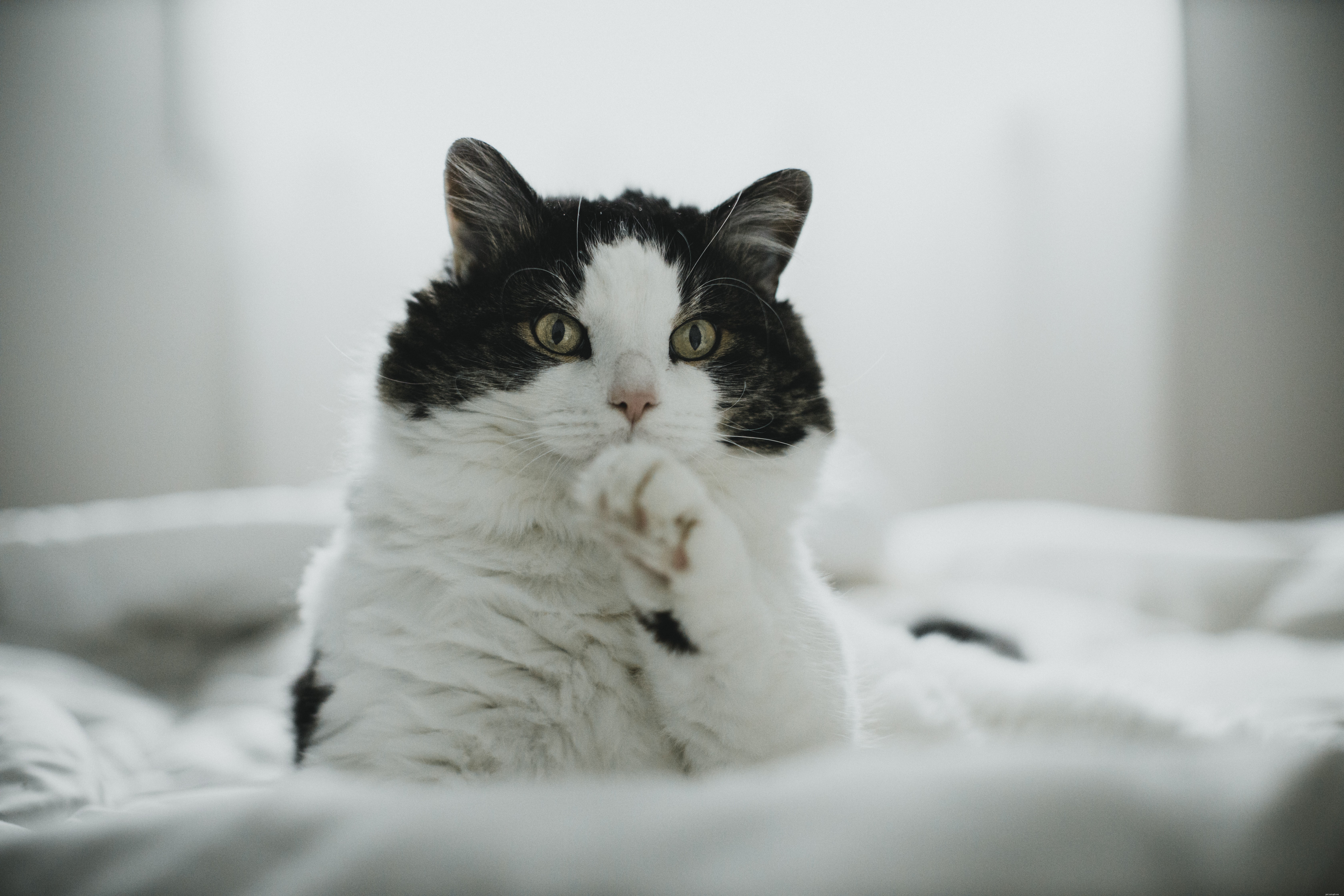 Understanding and Managing Runny Nose: Causes, Symptoms, and Effective Treatments