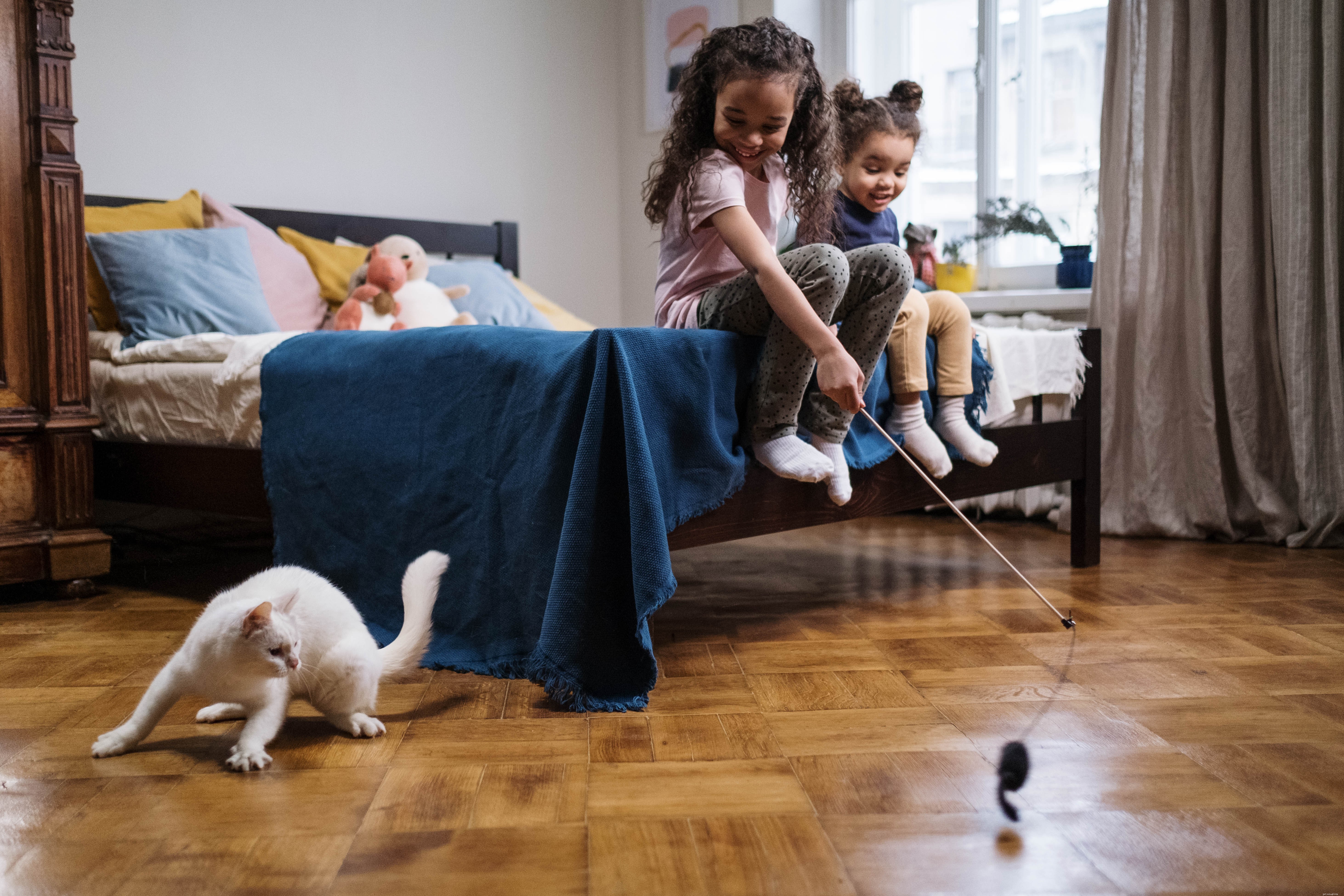Effective Ways to Play with Your Cat Every Day