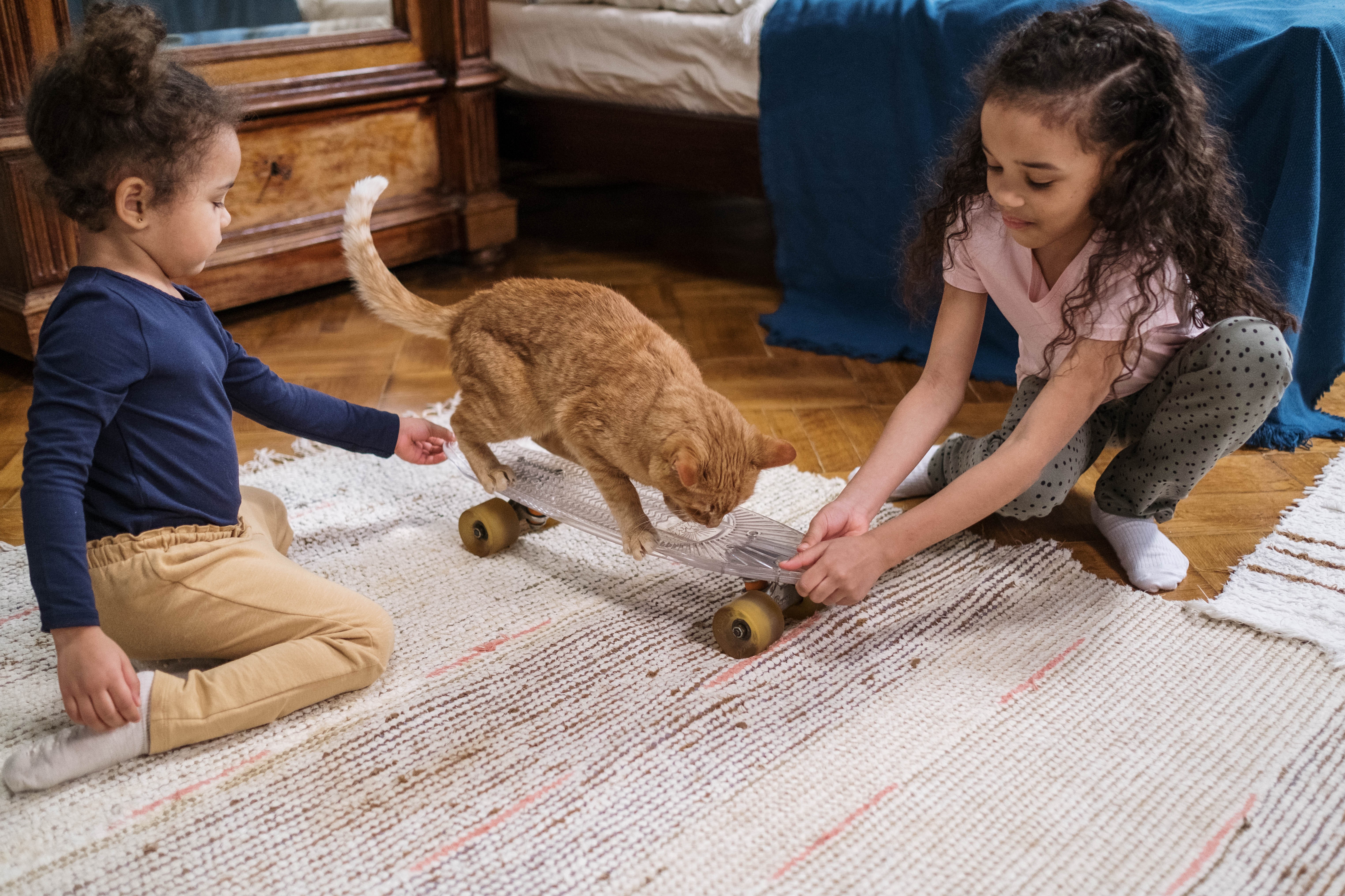 Effective Ways to Play with Your Cat Every Day