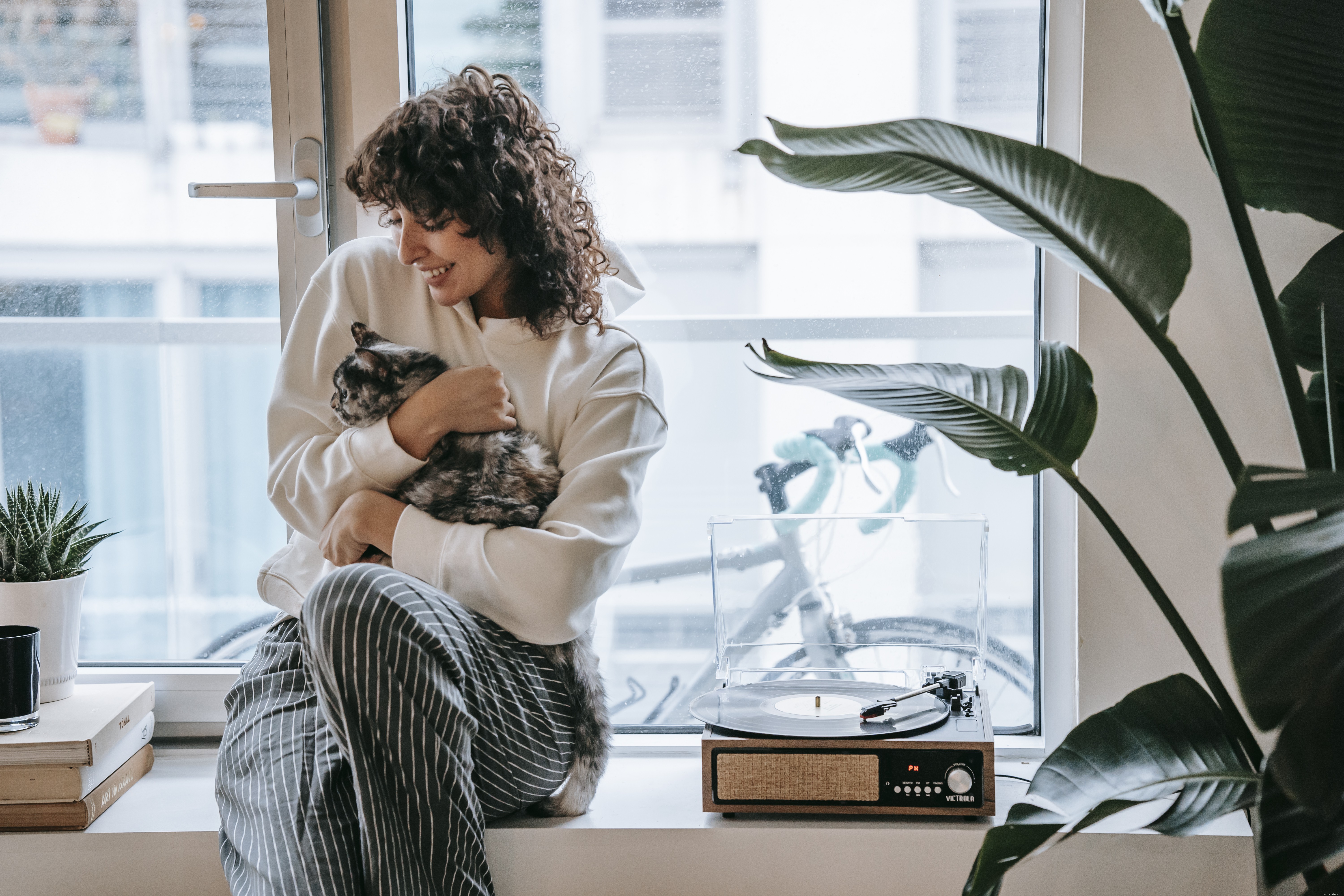 Felinotherapy: Proven Cat-Based Therapy for Stress Relief and Well‑Being