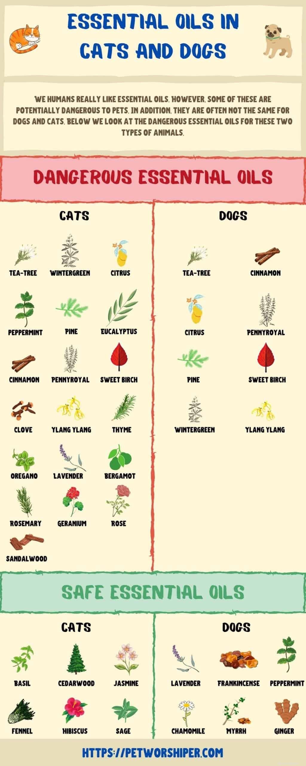 Essential Oils & Cats: Protect Your Pet – Key Safety Tips & Risks
