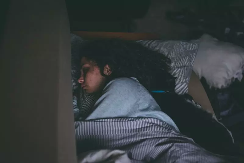 Why Your Cat Prefers to Sleep With You—and Why It’s Beneficial