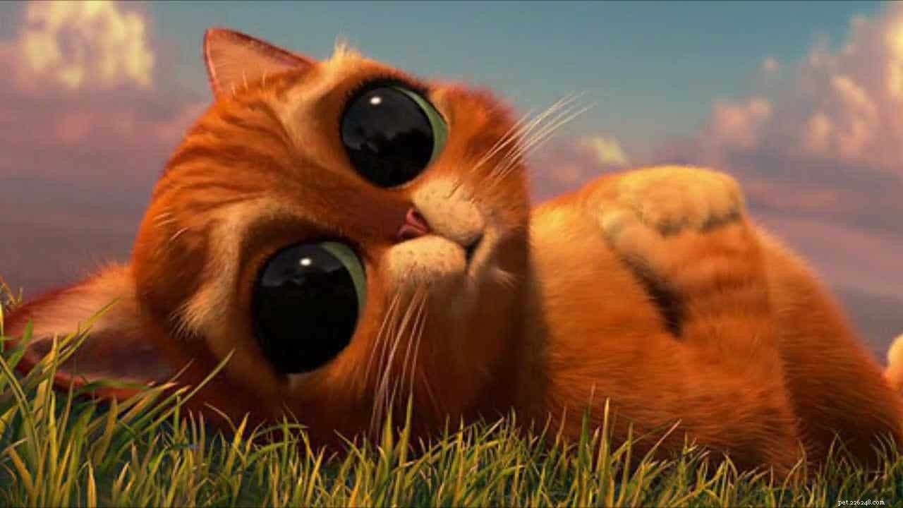 The Science Behind Cats  Round Pupils: Why Some Cats Deviate from the Typical Slit Shape