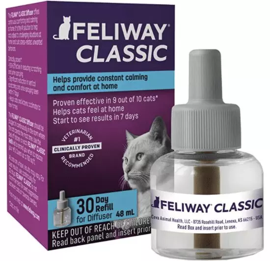 How Cat Pheromones Calm Anxiety: A Trusted Guide