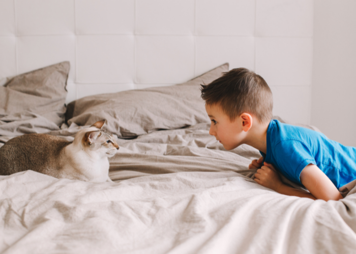 Understanding Why Cats Hiss: Causes, Signs, and How to Respond
