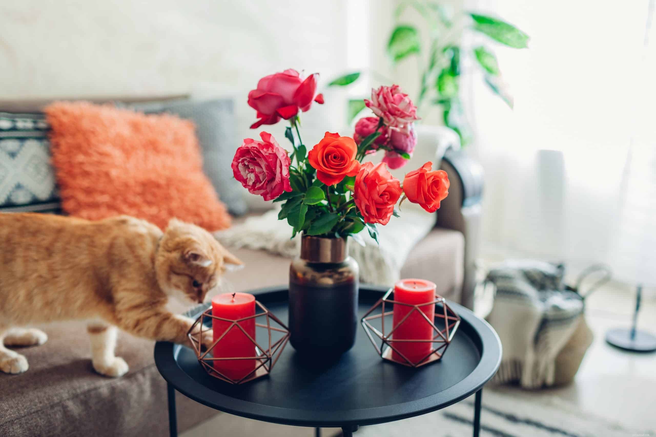 Understanding Why Cats Love to Knock Things Over: Insights & Solutions