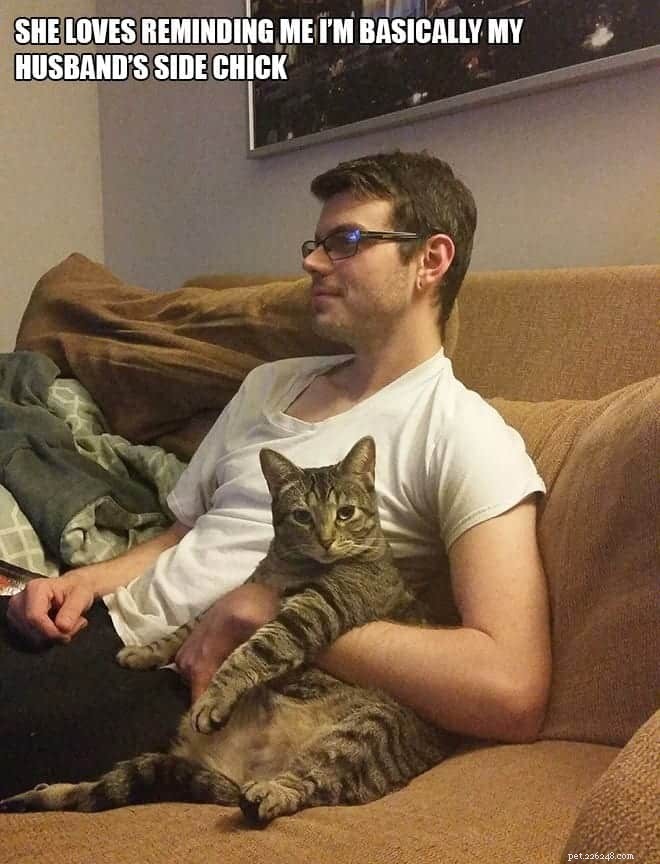Why Cats Act Jealous and How to Calm Their Envy