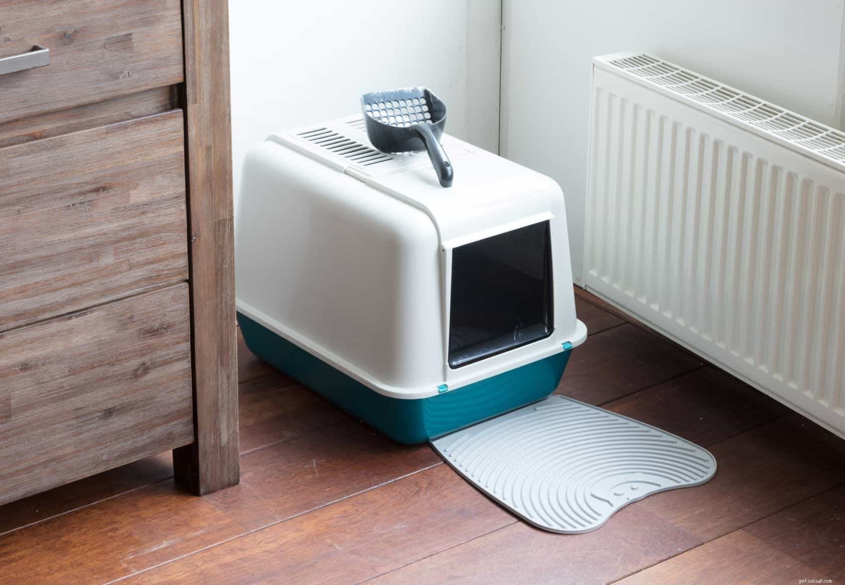 Choosing the Perfect Litter Box Spot: Key Factors for a Happy, Clean Home