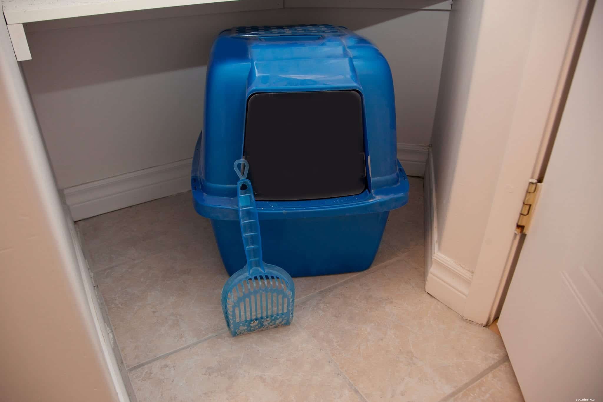 Choosing the Perfect Litter Box Spot: Key Factors for a Happy, Clean Home